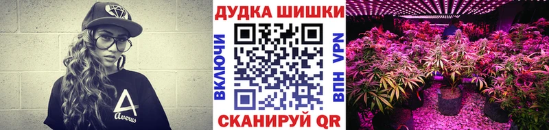 Где купить наркоту Злынка A PVP  Меф мяу мяу 