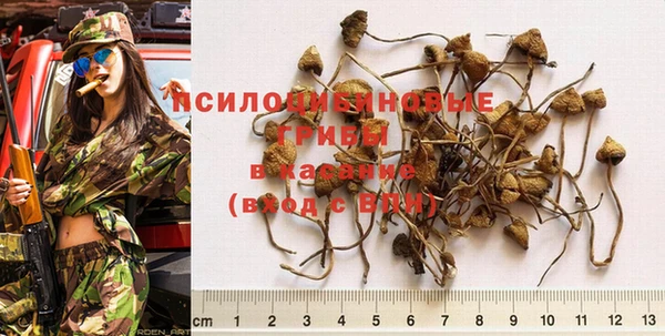 прущий лед Алексин