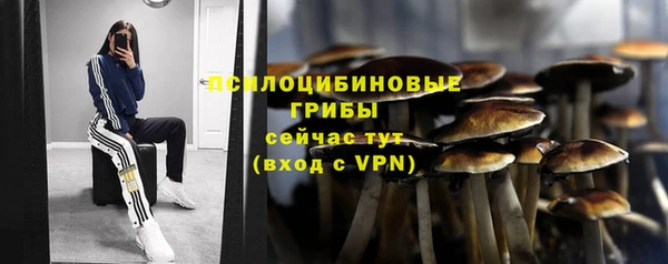 тгк Алзамай