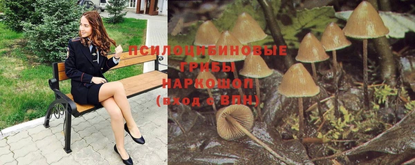первитин Алексеевка