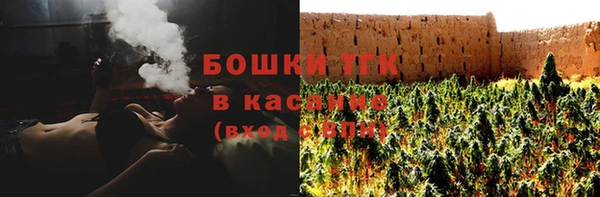 тгк Алзамай