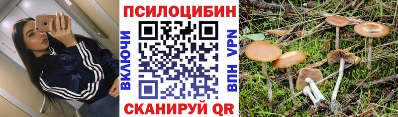 Галлюциногенные грибы Psilocybine cubensis  ссылка на мегу вход  Злынка  наркотики 