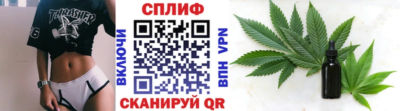 Каннабис планчик  Злынка 